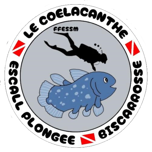 Site de la section de plongée